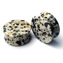 Jasper Dalmatian